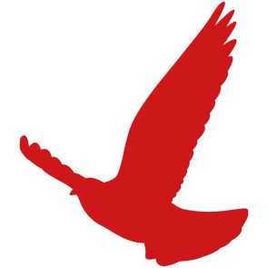 vogel